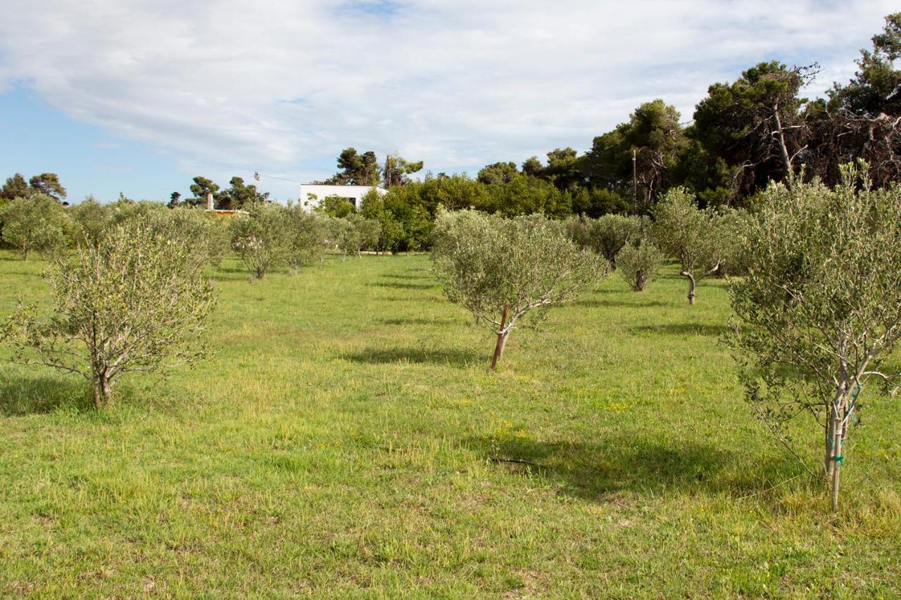 Villa Rosemary Park Ζαντάρ Εξωτερικό φωτογραφία