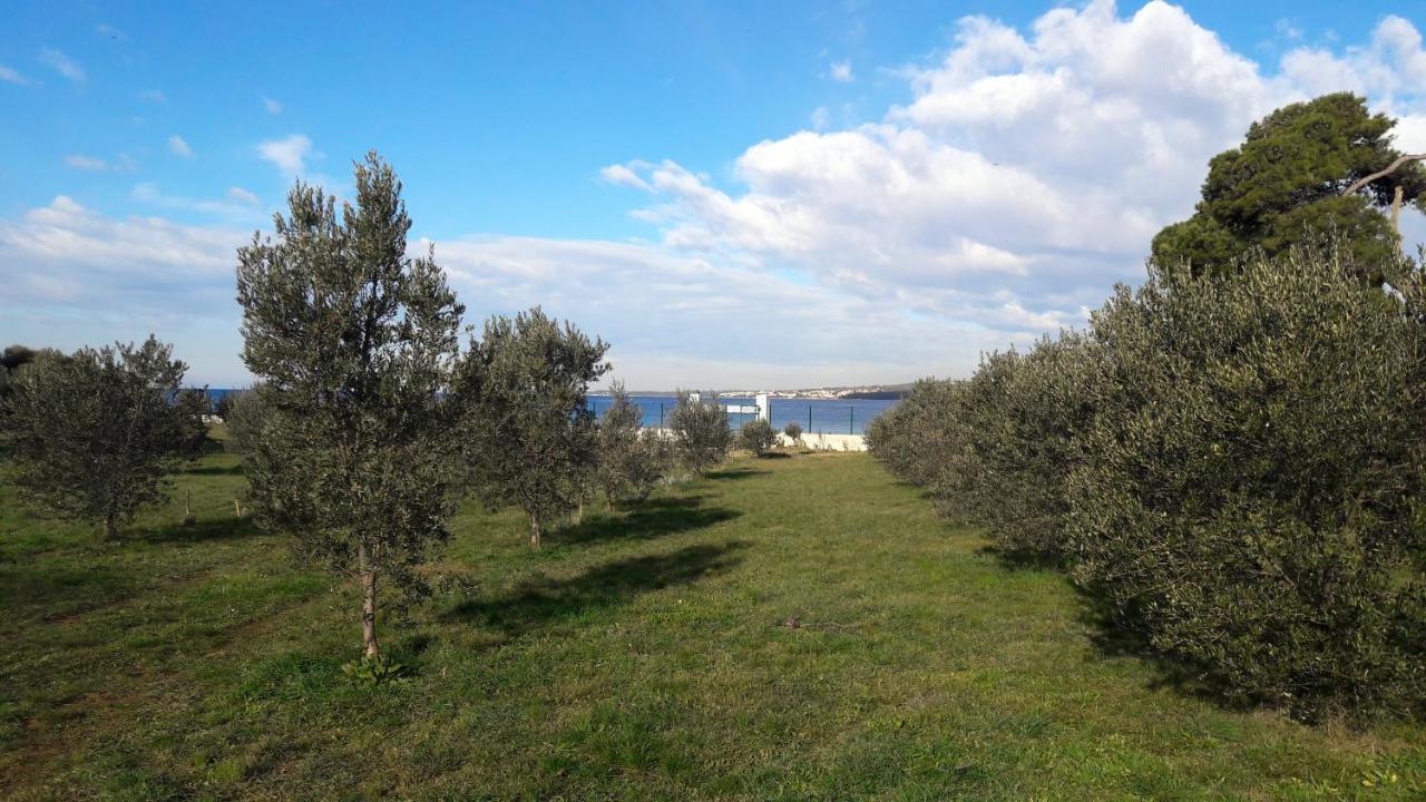 Villa Rosemary Park Ζαντάρ Εξωτερικό φωτογραφία